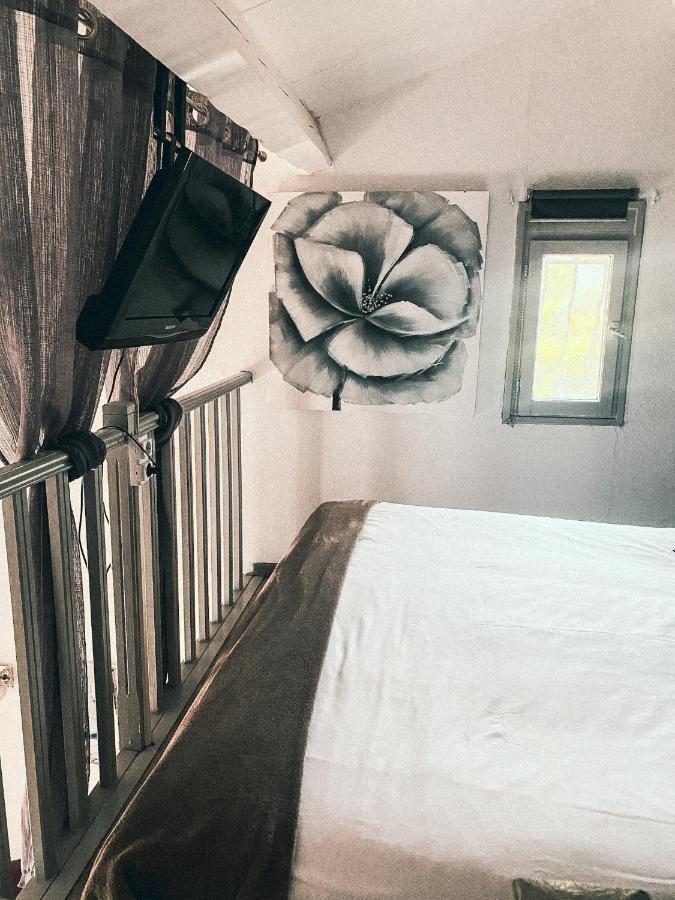 Auberge Des Pins Tourrettes Zewnętrze zdjęcie